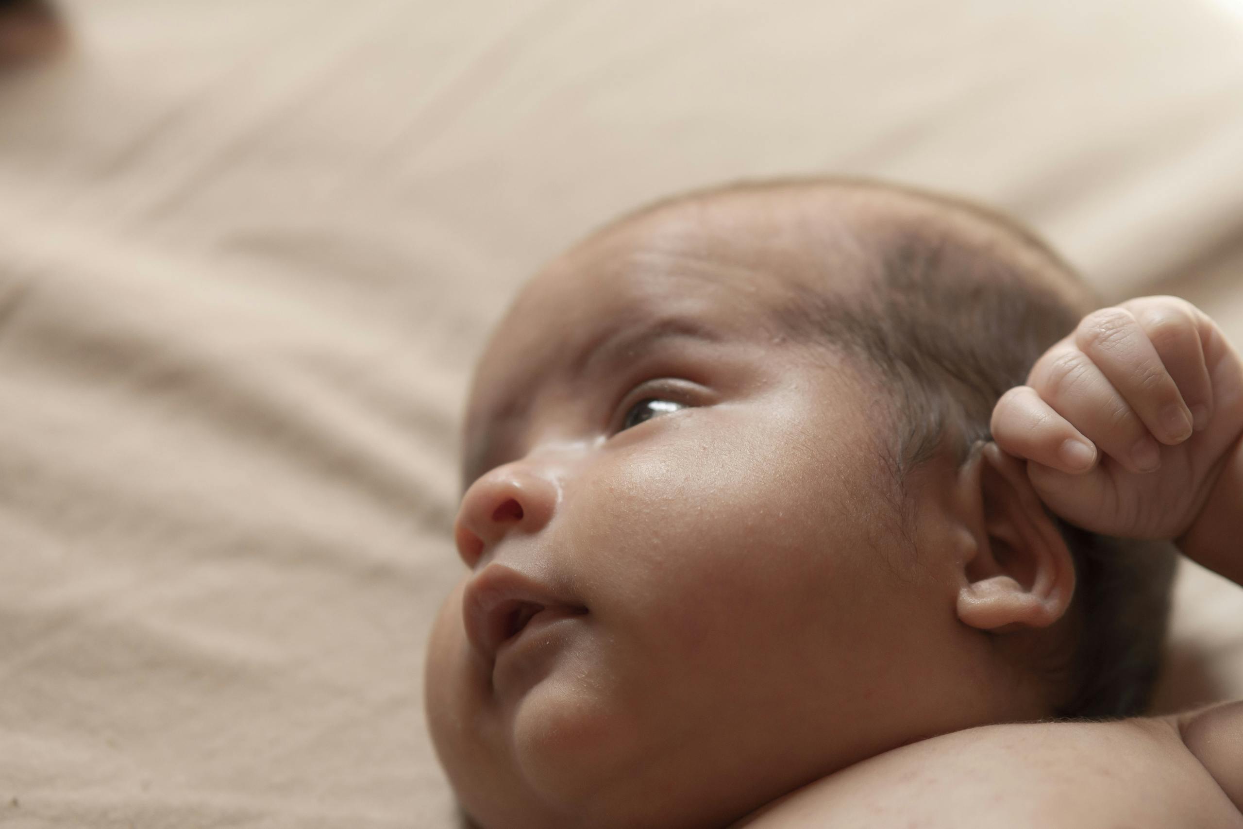 Close-up of a newborn baby's head, illustrating infant head shape concerns related to plagiocephaly or flat head syndrome